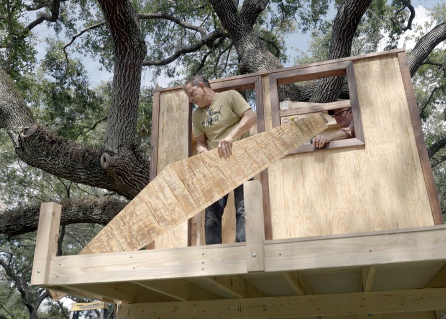 Tree House Building