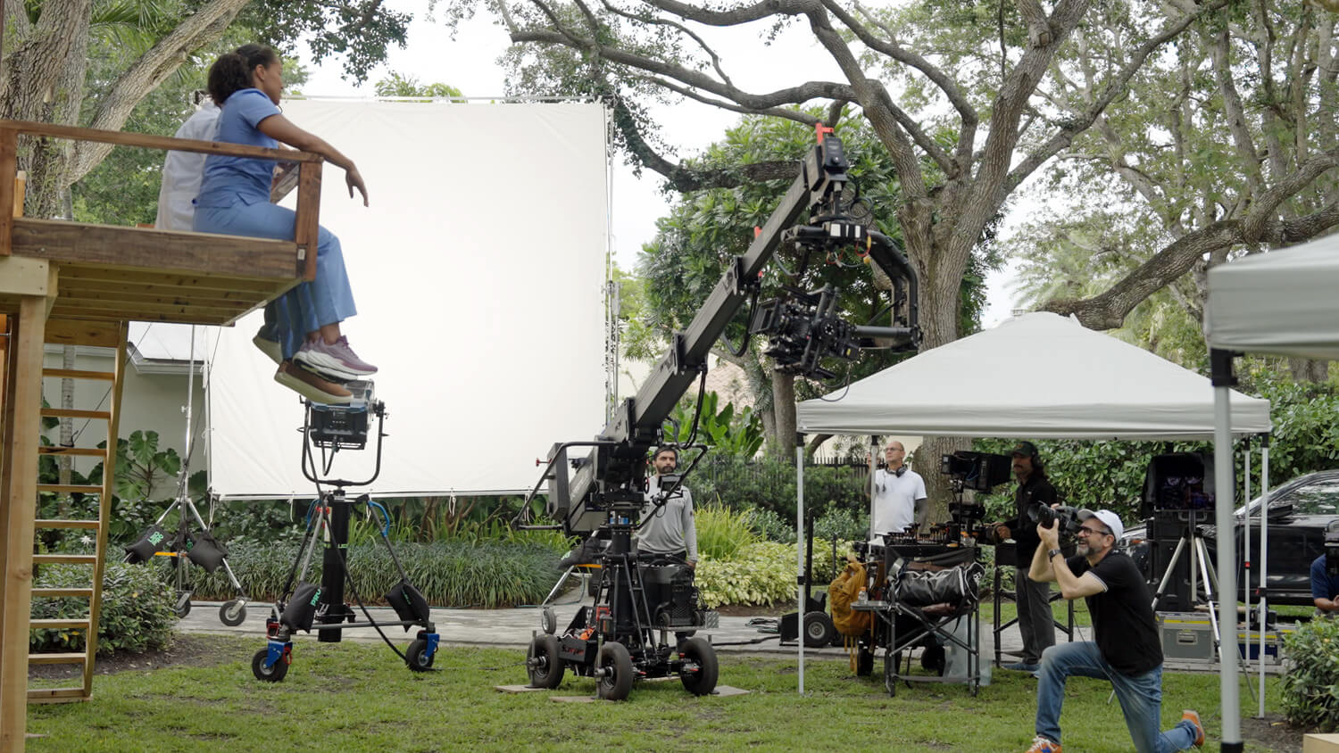 Tree House Scene crane
